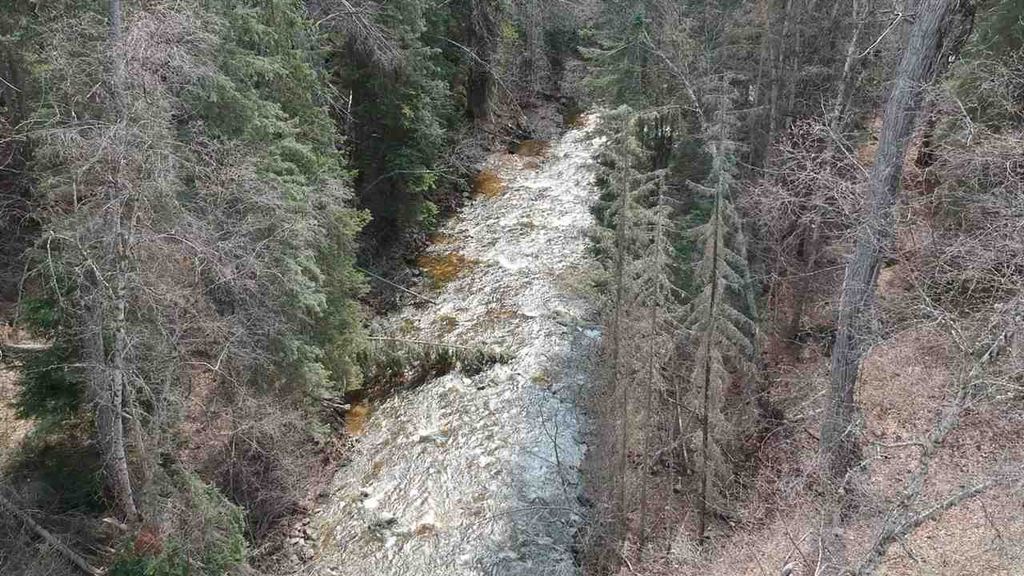 listing image 1106897586706552896