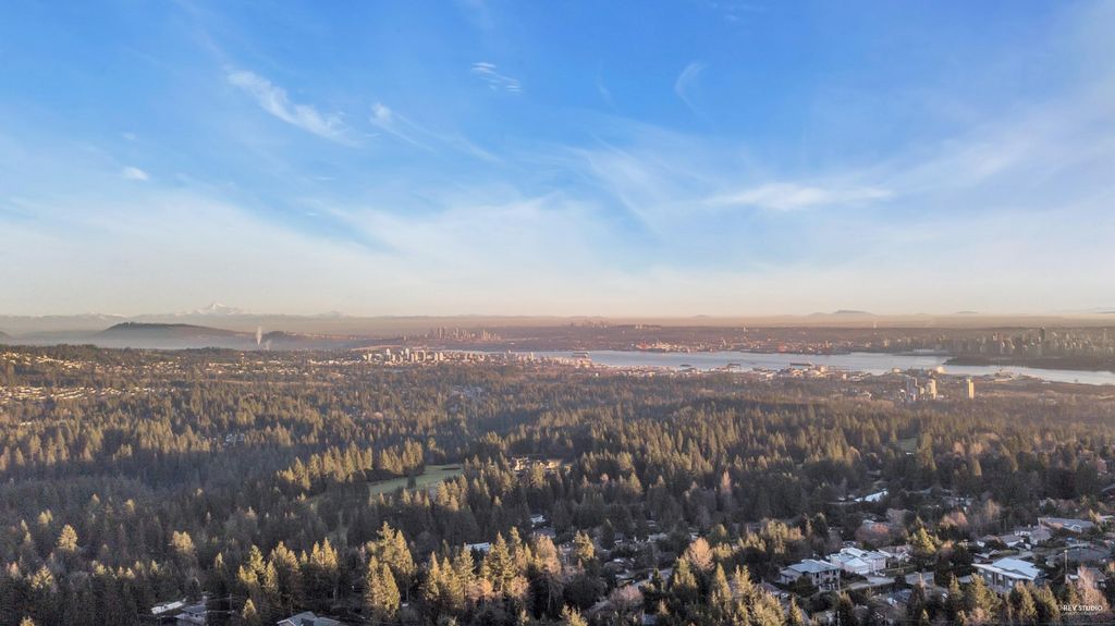 listing image 1101783187423711138