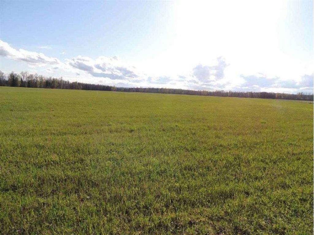 listing image 1107692910132883312