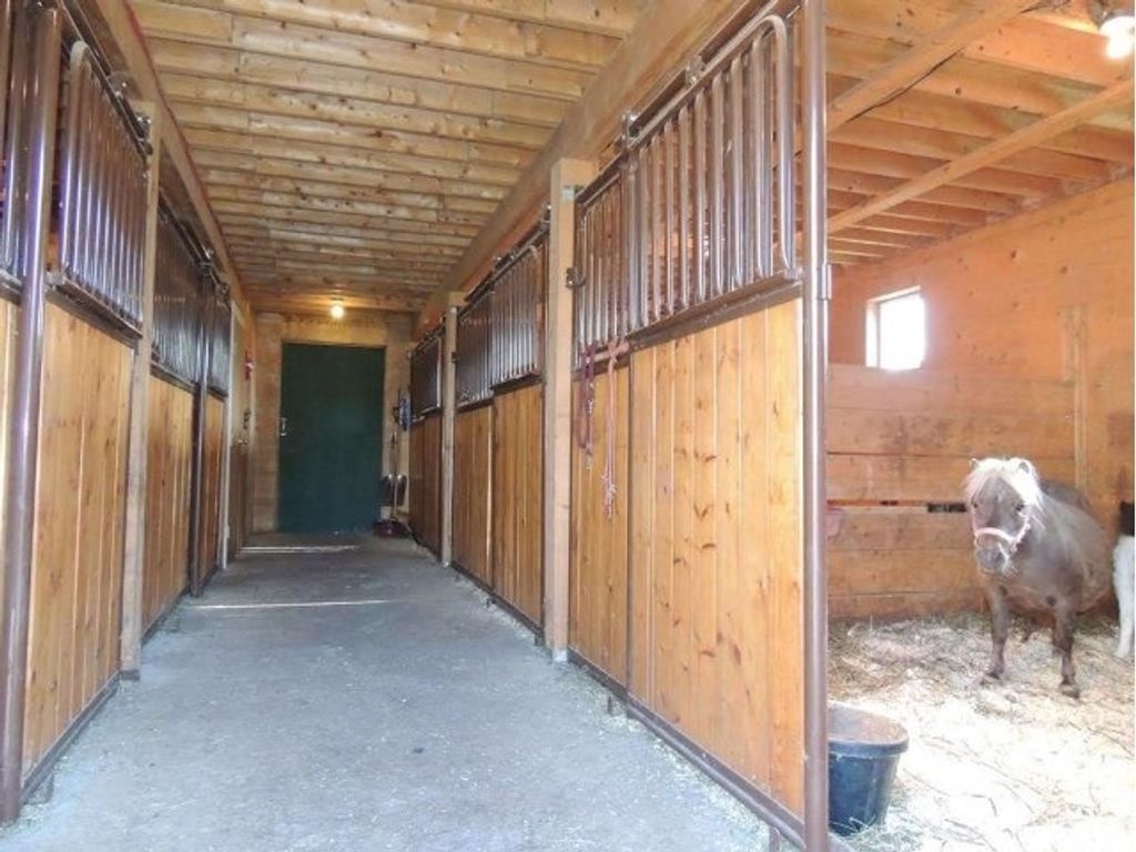 listing image 1102560542493473319