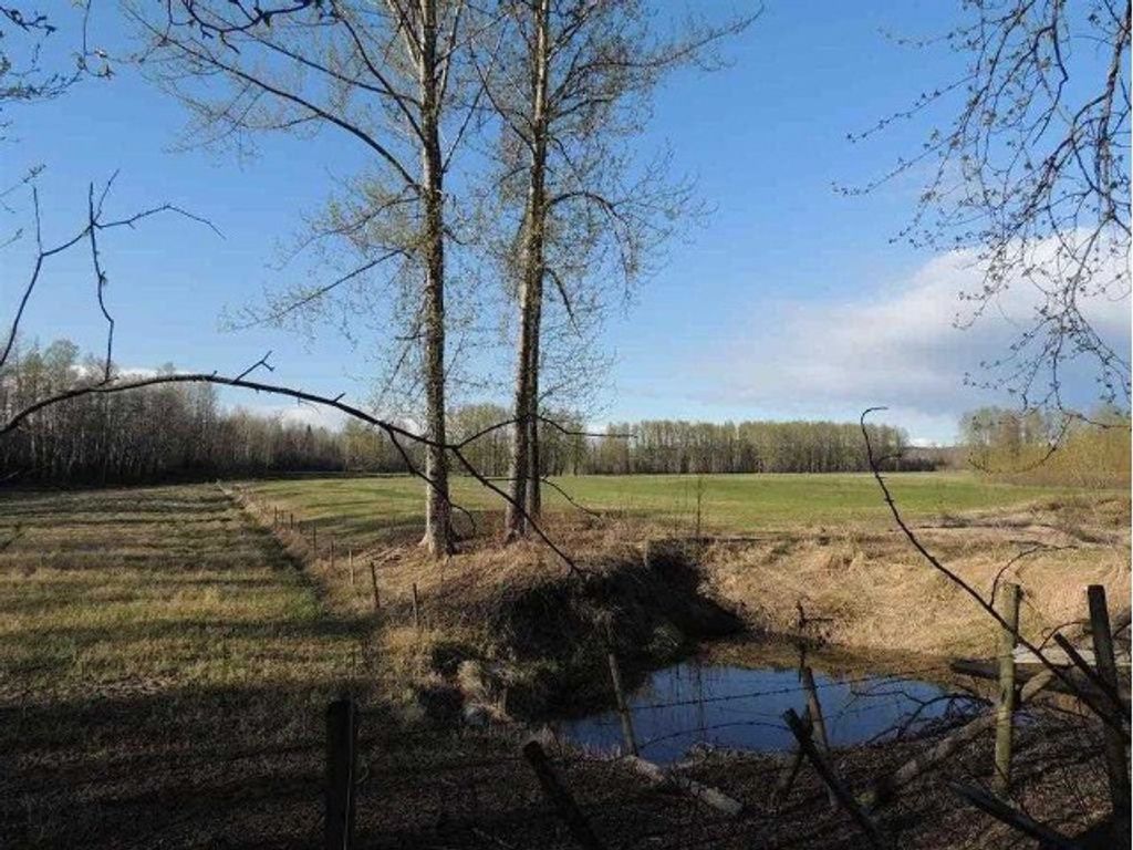 listing image 1102449332317433265