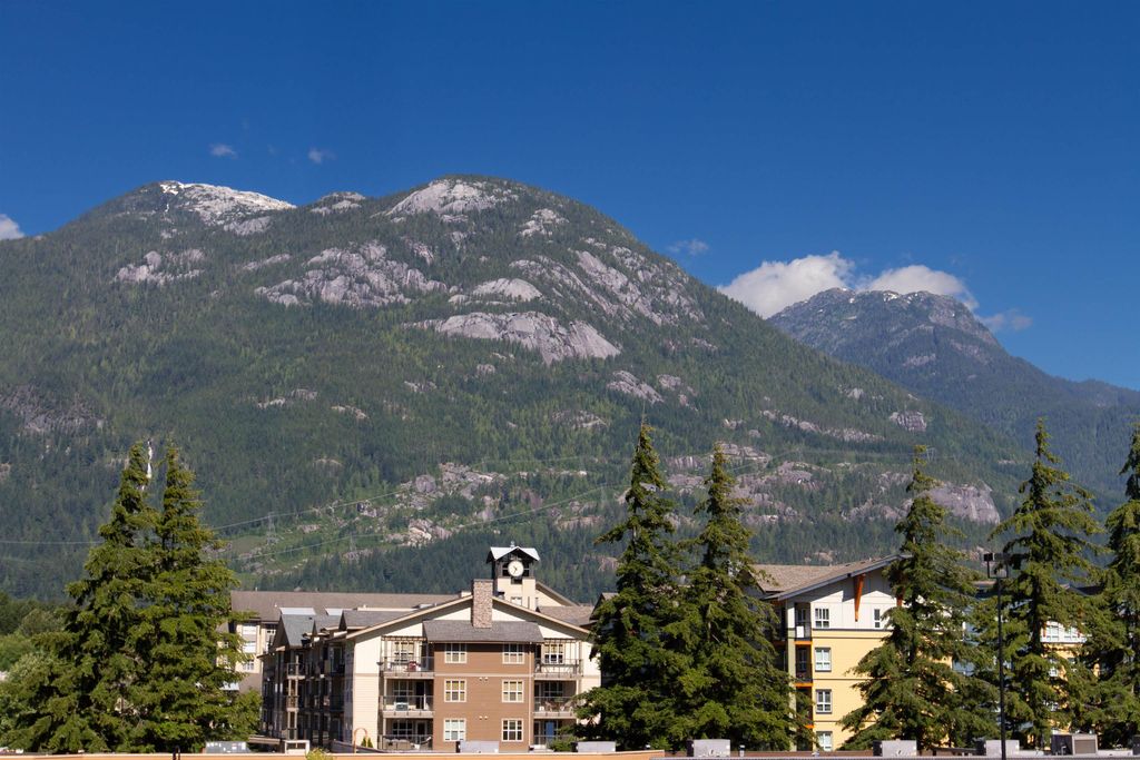 listing image 1109113854569660049