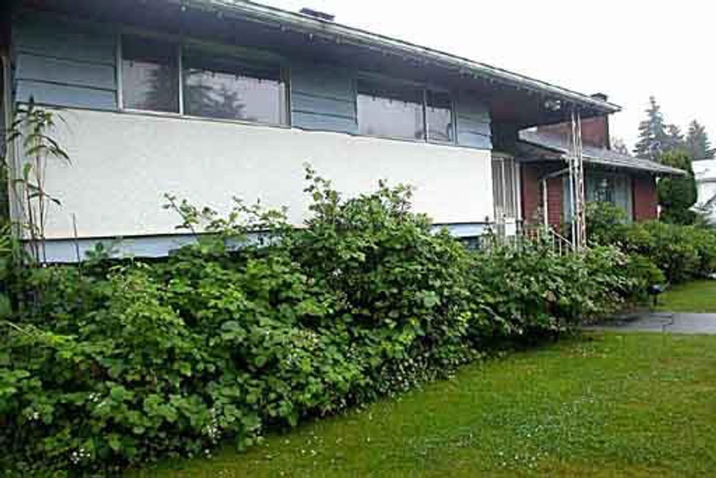 listing image 1104716045044200053