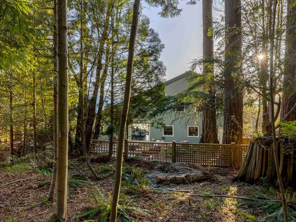 listing image 1102827540747640714