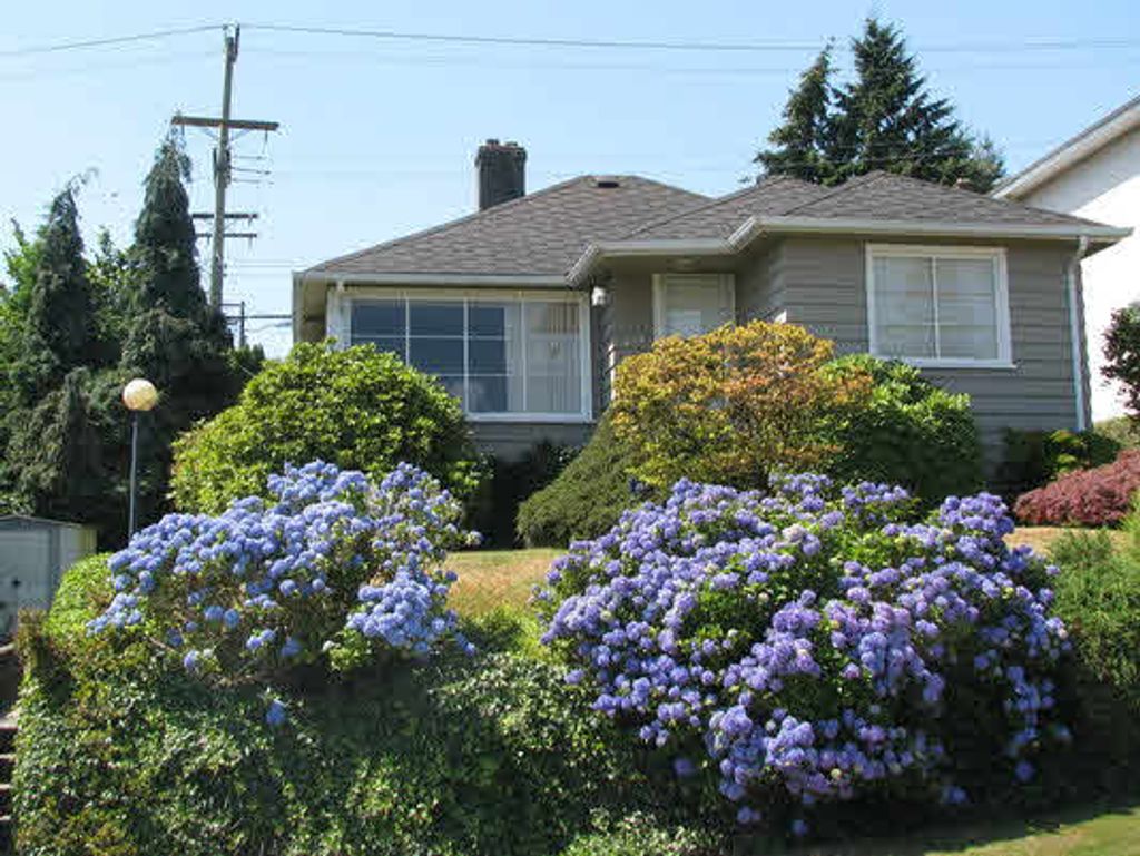 listing image 1104001412627318917