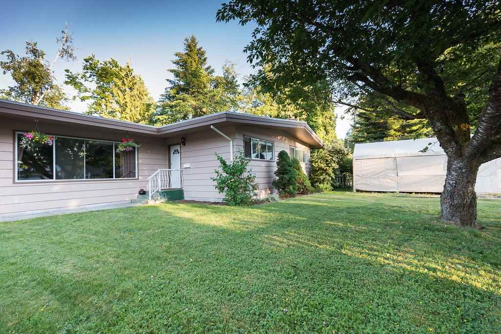 listing image 1102934135462078146