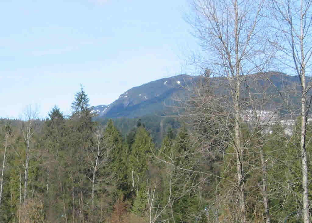 listing image 1102337628297799248