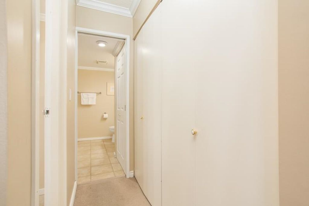 listing image 1106417474819133036