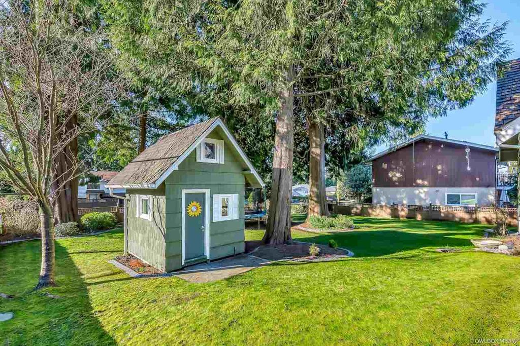 listing image 1100806215403815391