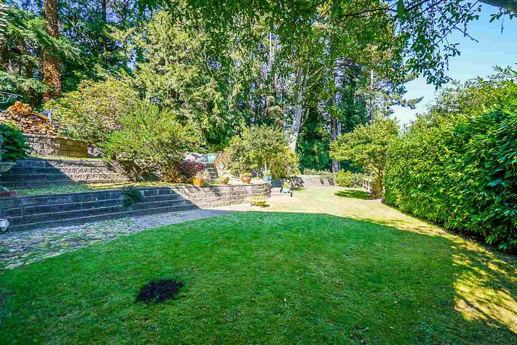 listing image 1103586738076270758