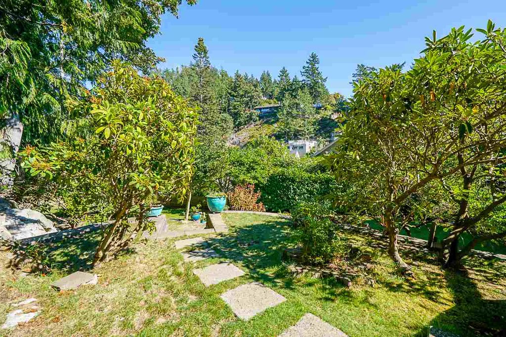 listing image 1101526333928783441