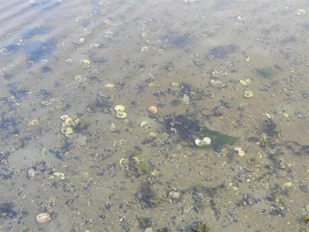 listing image 1108590605945759513