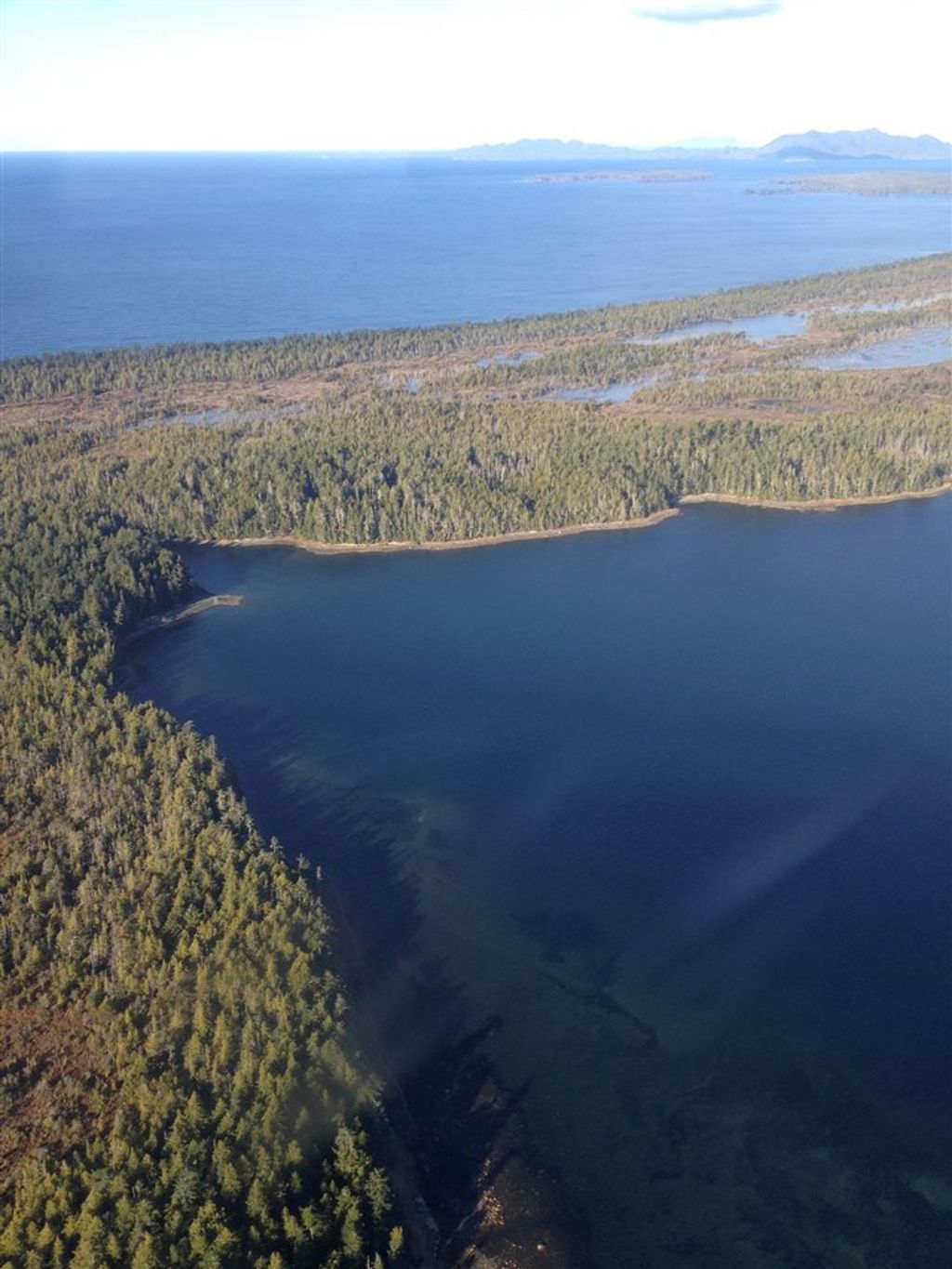 listing image 1100863240089881321