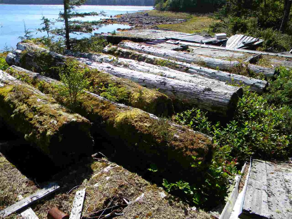 listing image 1105917690871582608