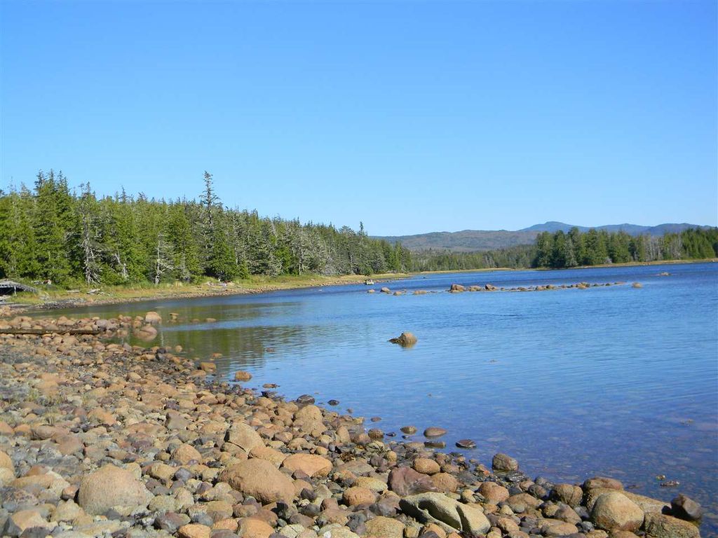 listing image 1103579137745484927