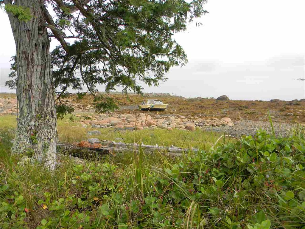 listing image 1100037232061226293