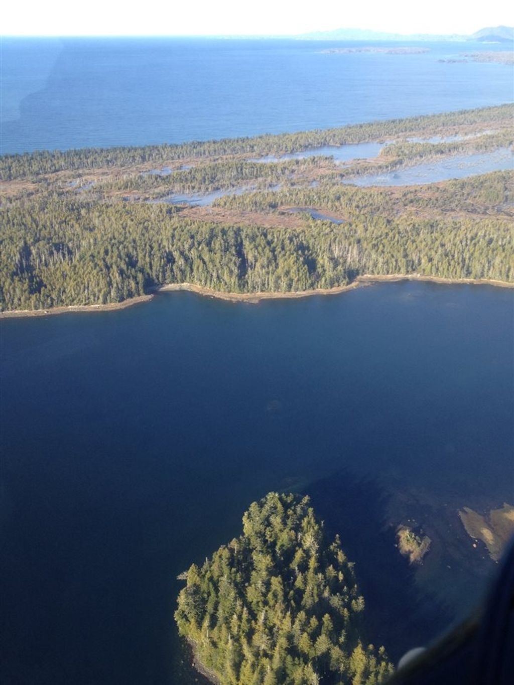 listing image 1106487370816144395