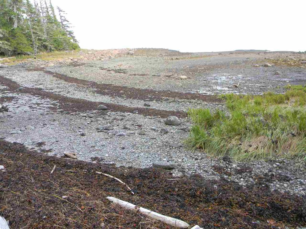 listing image 1100974596379957755