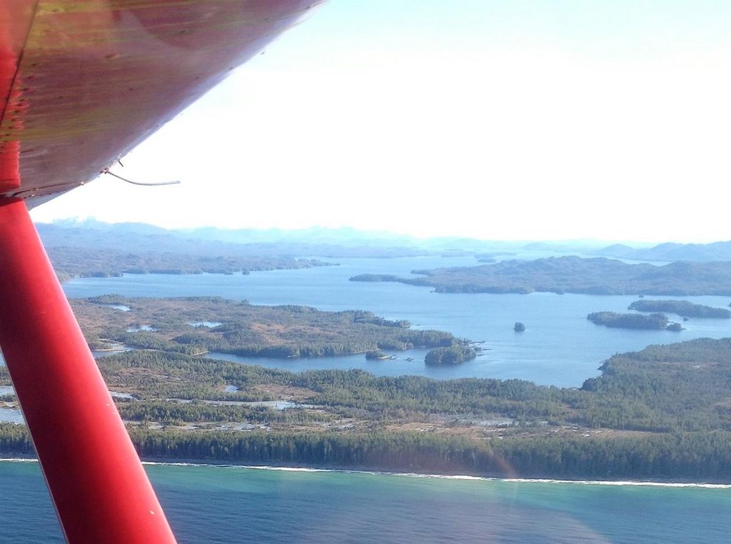 listing image 1106555497519256691