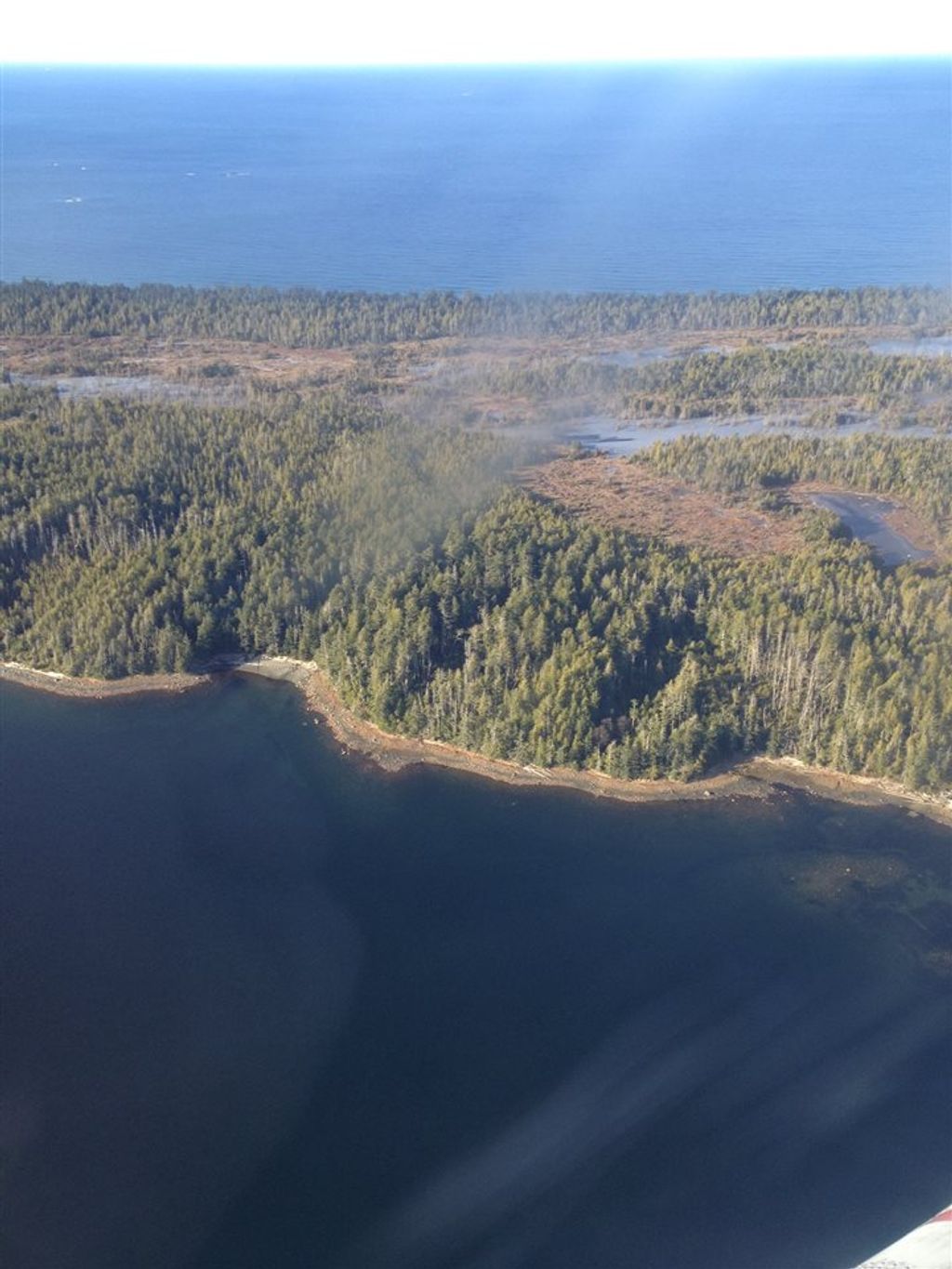 listing image 1109868891203640403