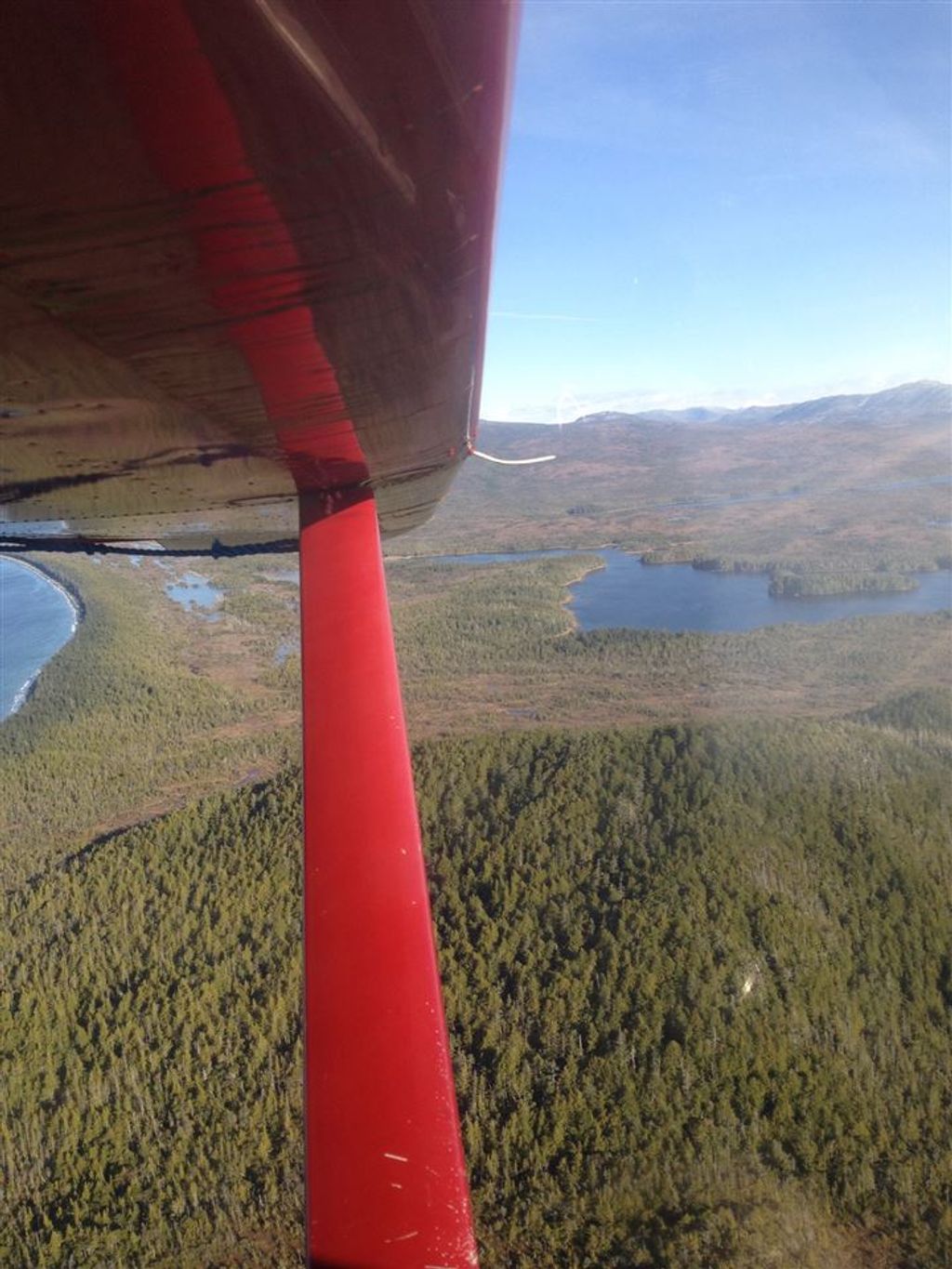 listing image 1106897062062535710