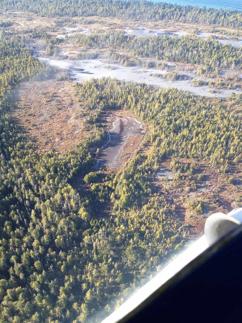 listing image 1102541613376484874