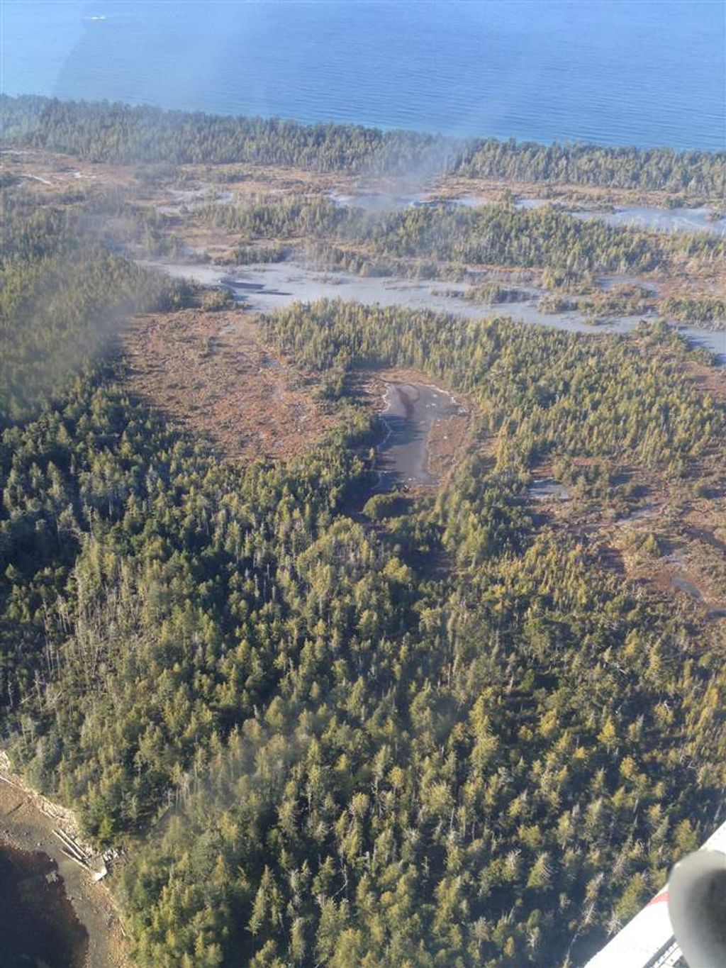 listing image 1107174347695001642