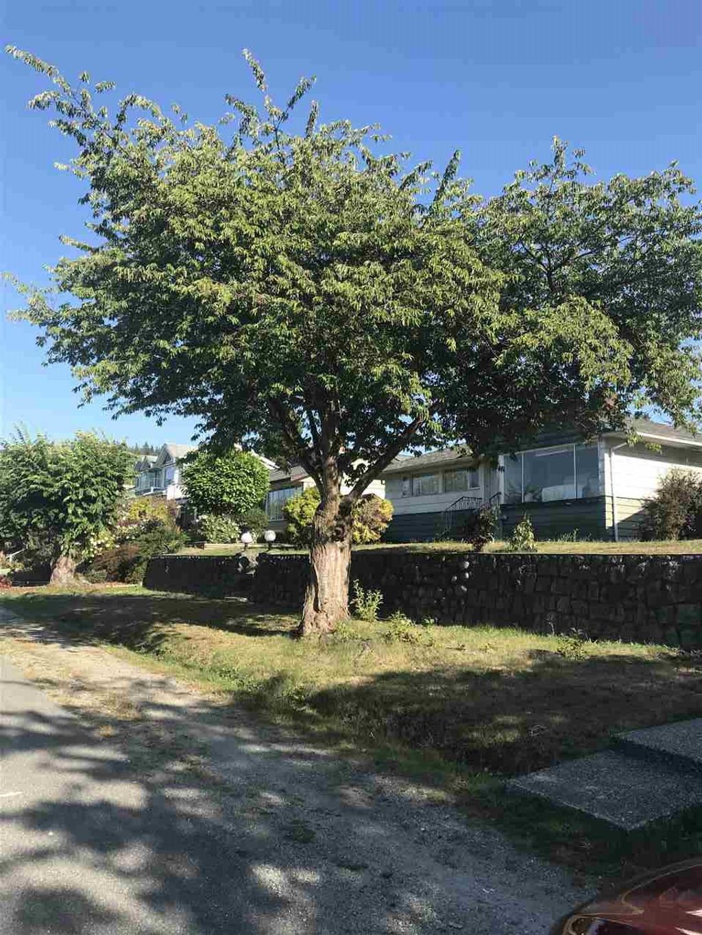listing image 1102347623236053738
