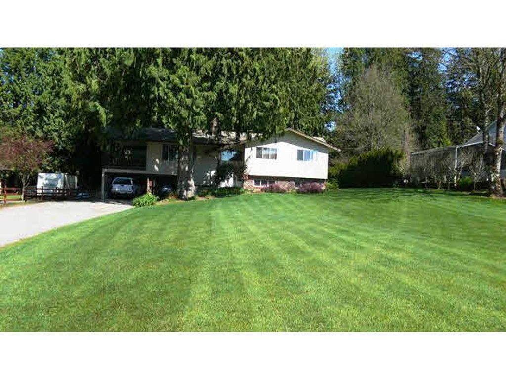 listing image 1103841318802822185