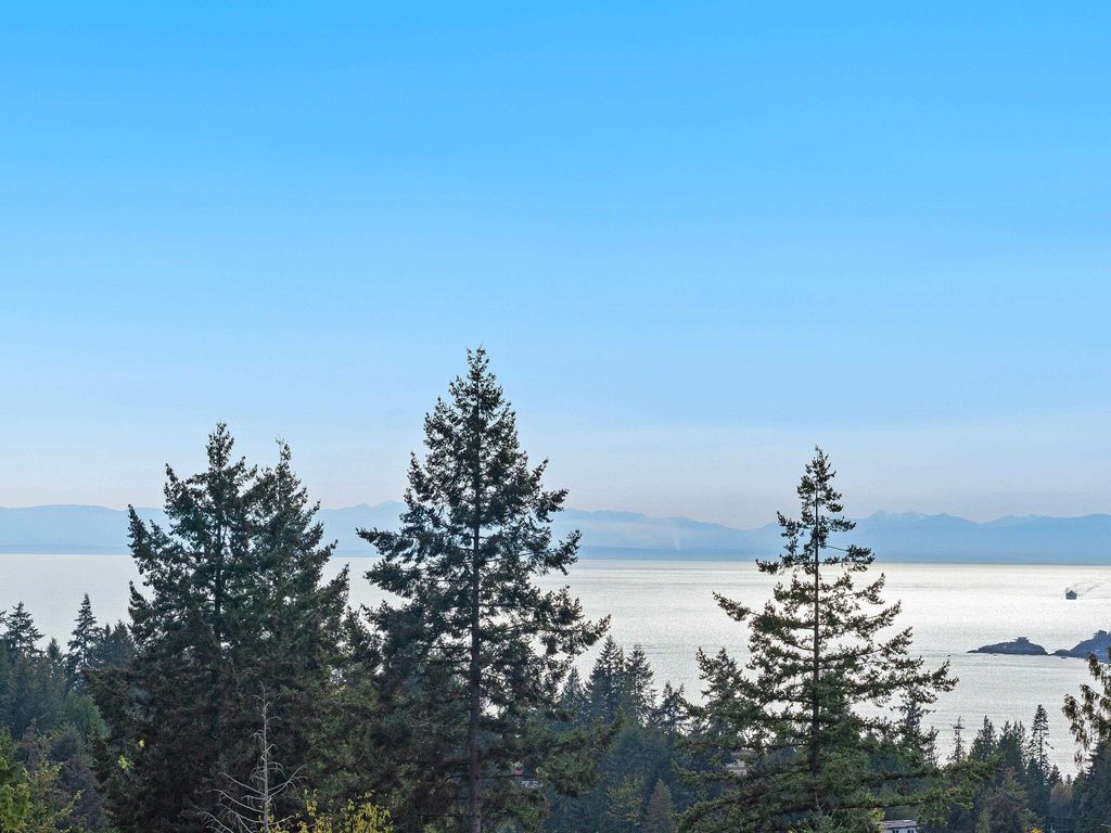 listing image 1104433824410400545