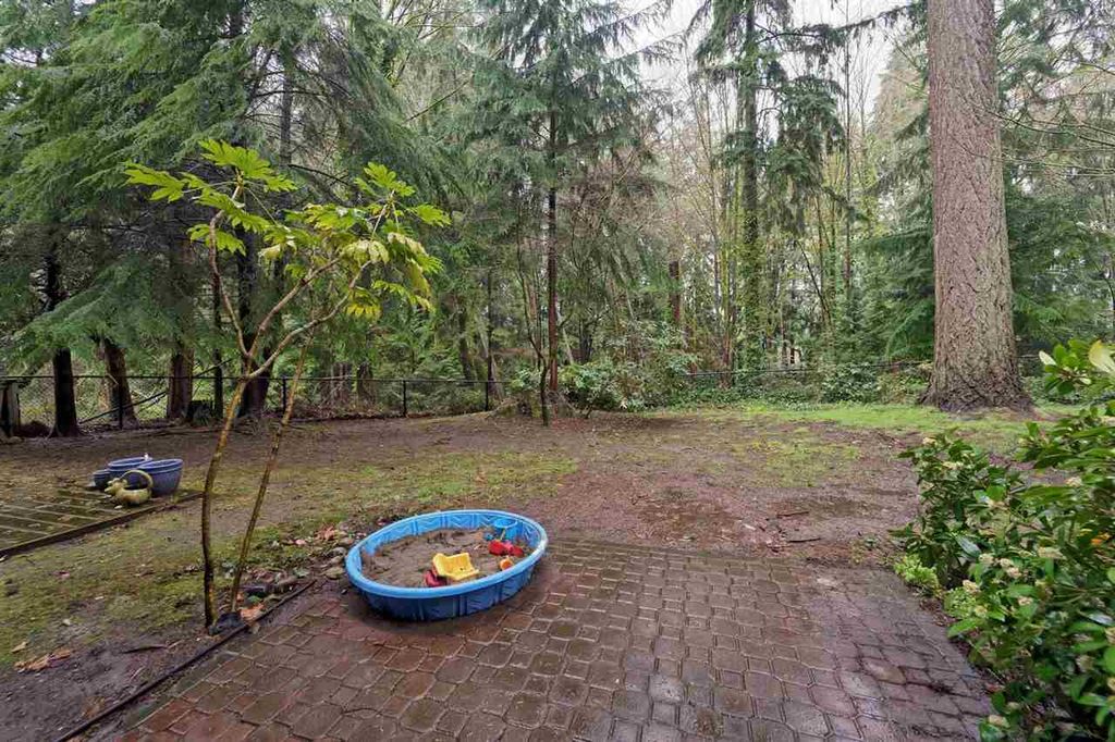 listing image 1101304011723183847