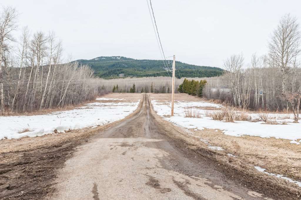 listing image 1101608591990091699