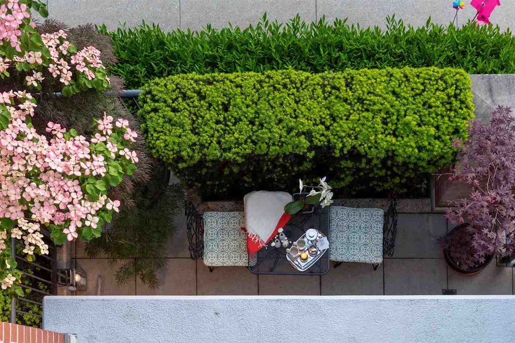 listing image 1106900123060940809