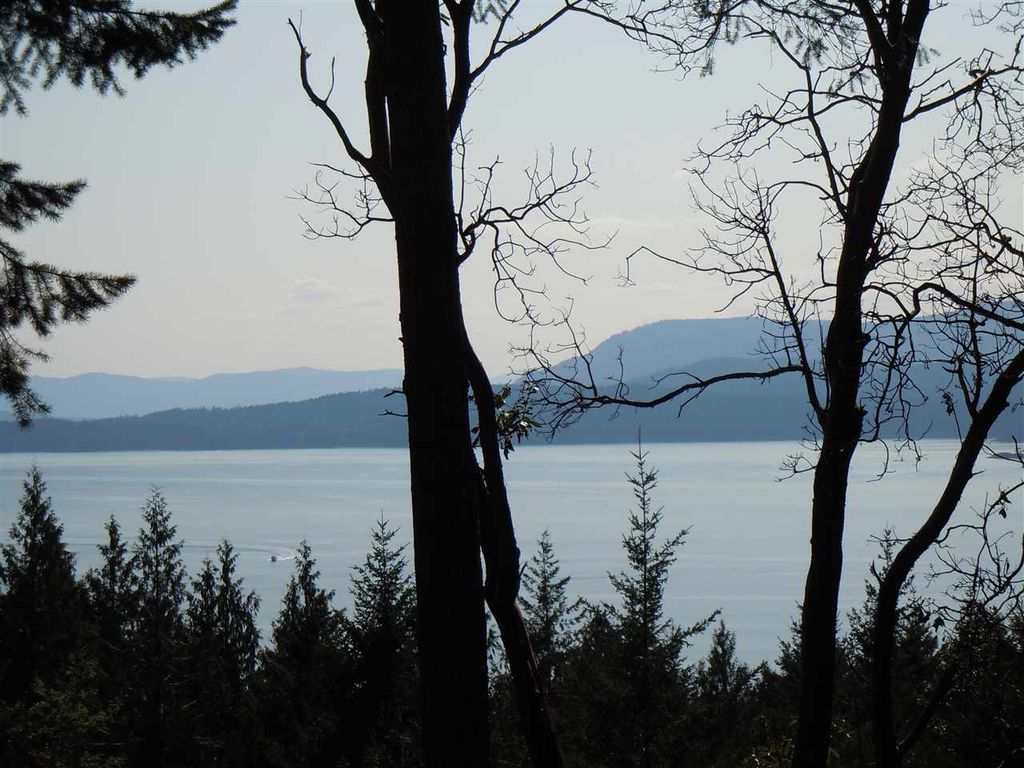 listing image 1101506442879685470