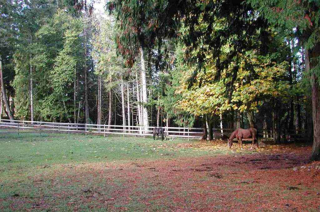 listing image 1100341742904124076