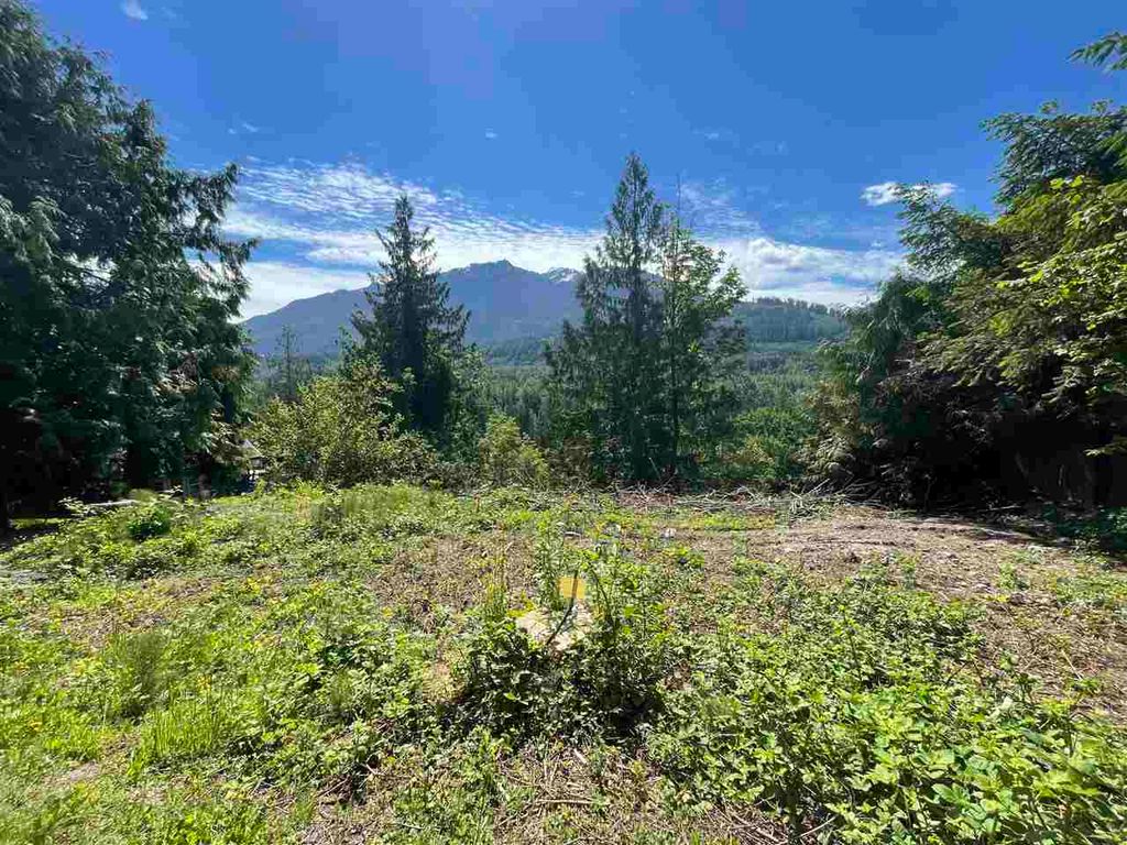 listing image 1101337070273993406
