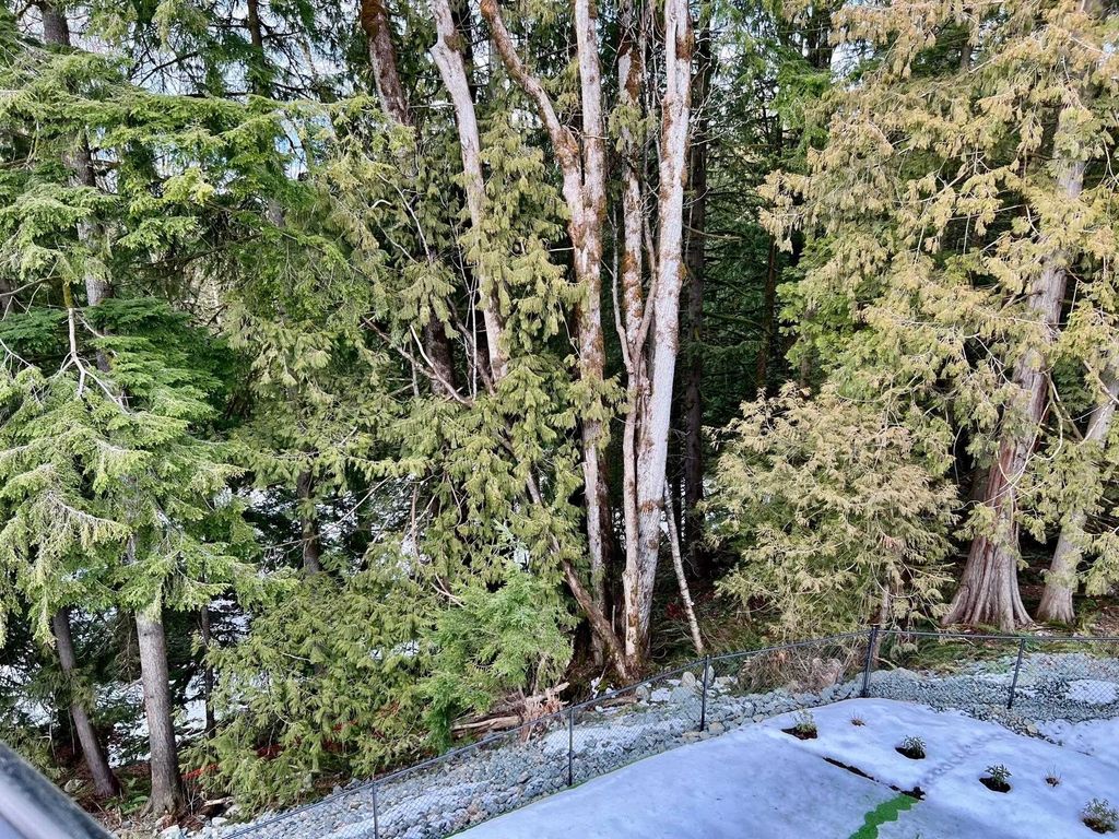listing image 1105560031735081886