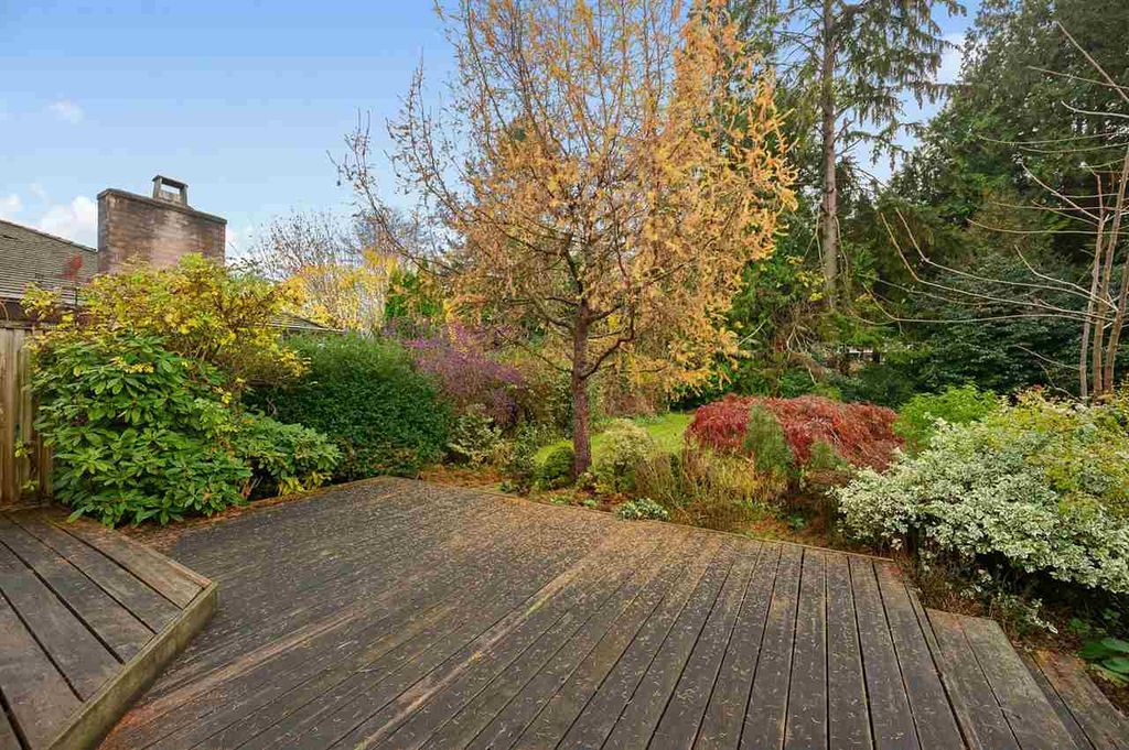 listing image 1100821484422895612