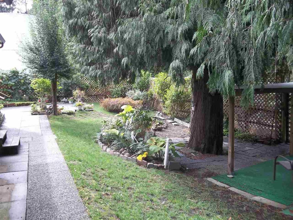 listing image 1103840982574622498