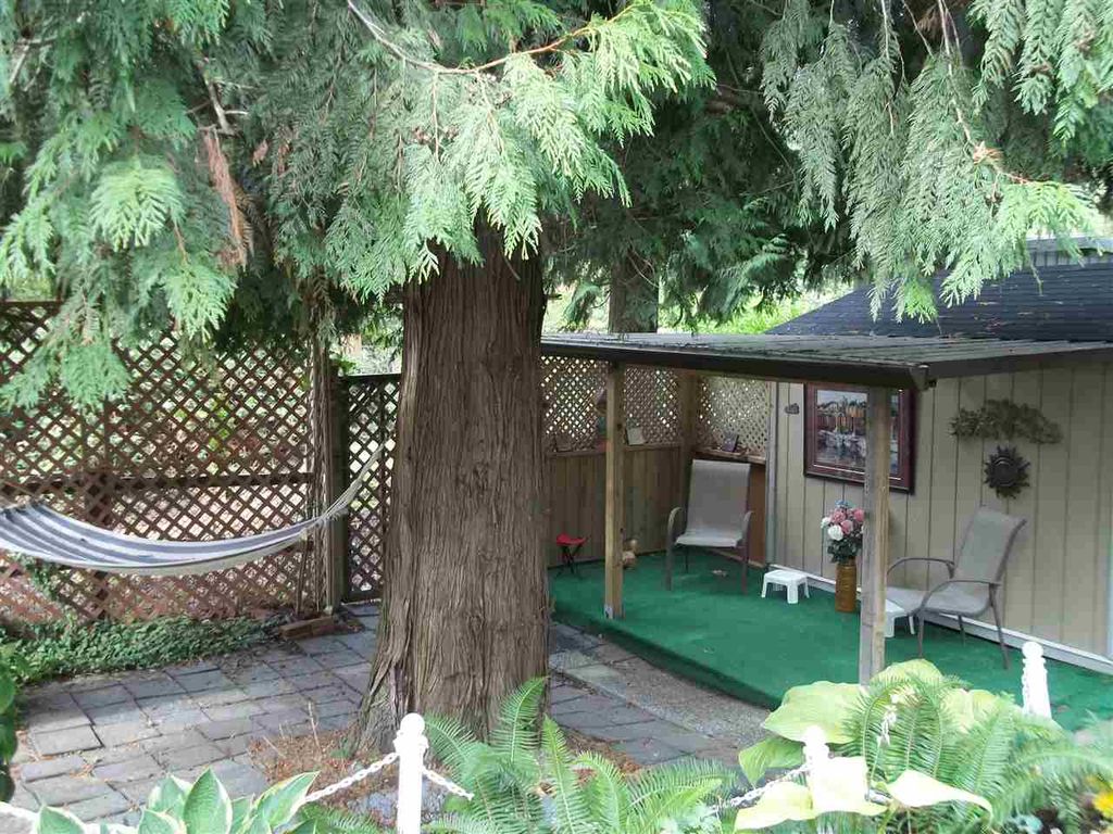 listing image 1102044205124165287