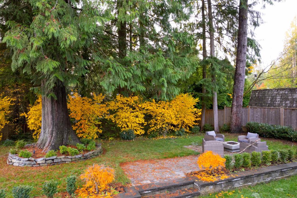 listing image 1105853723905540550