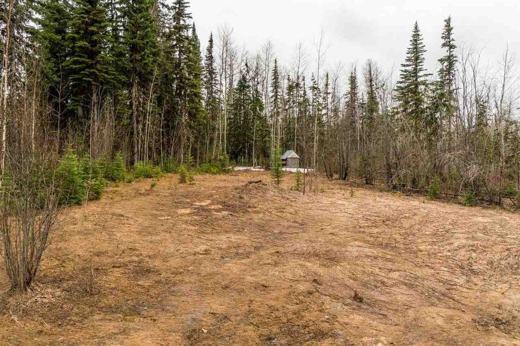 listing image 1106789330531613287