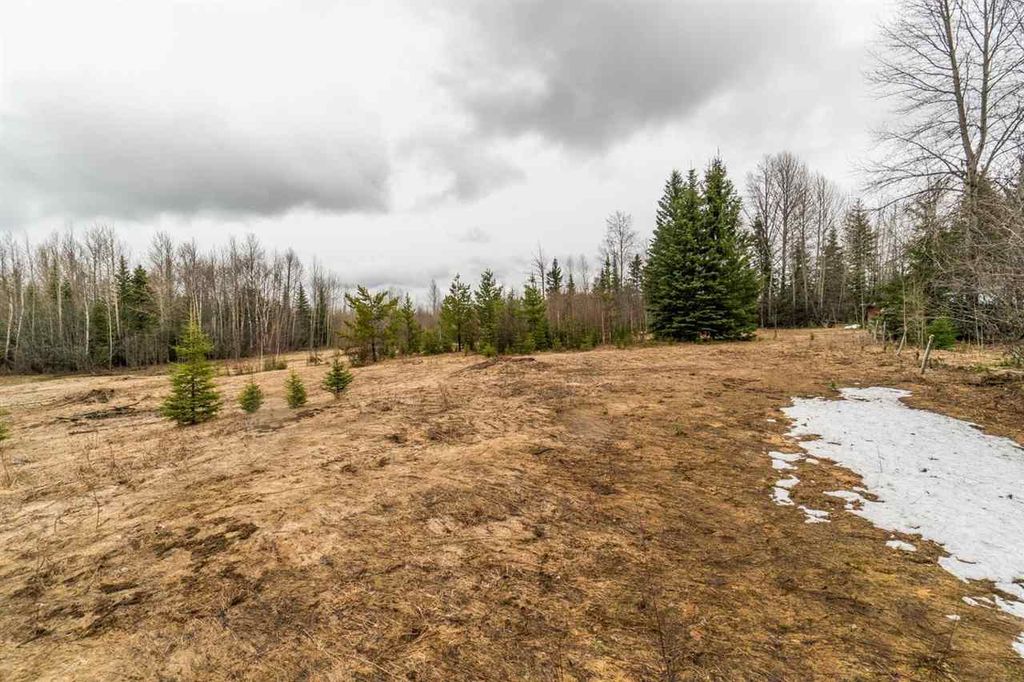 listing image 1108616802361453241