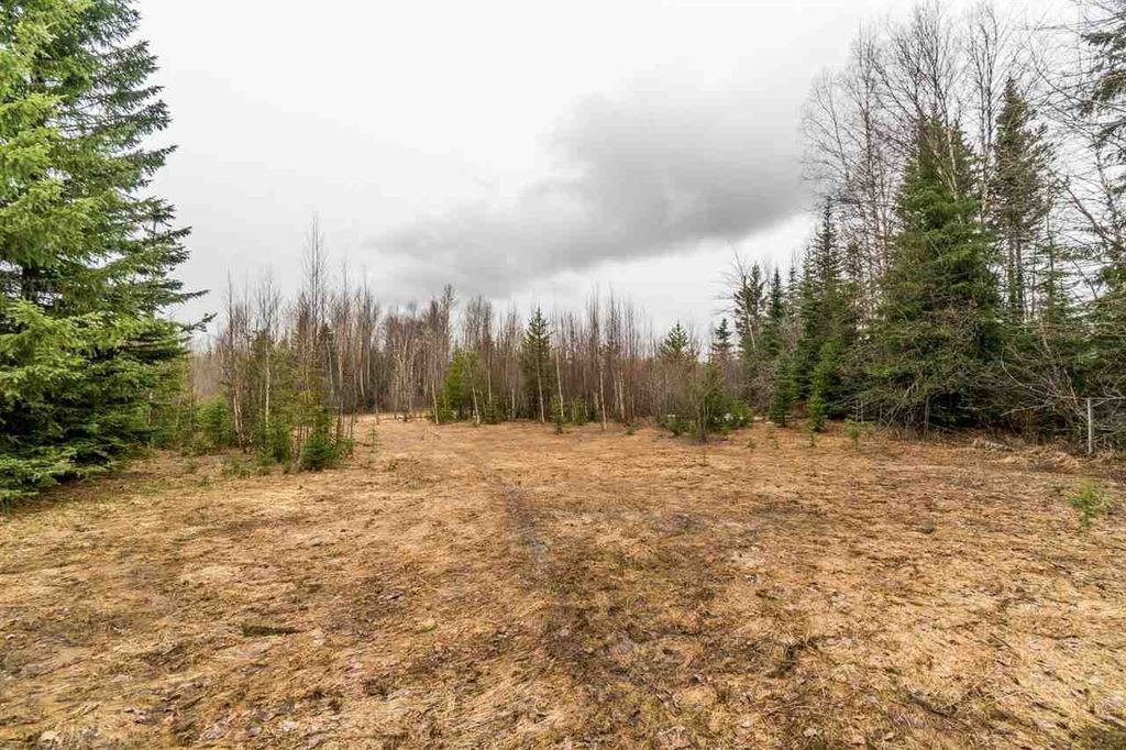 listing image 1101930397217607298