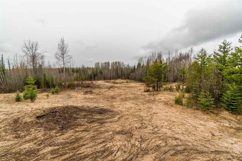 listing image 1101074531032344126