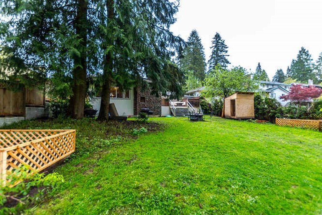 listing image 1103456468735316018