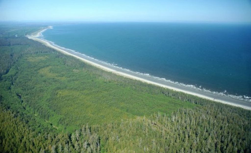 listing image 1103611456112343764