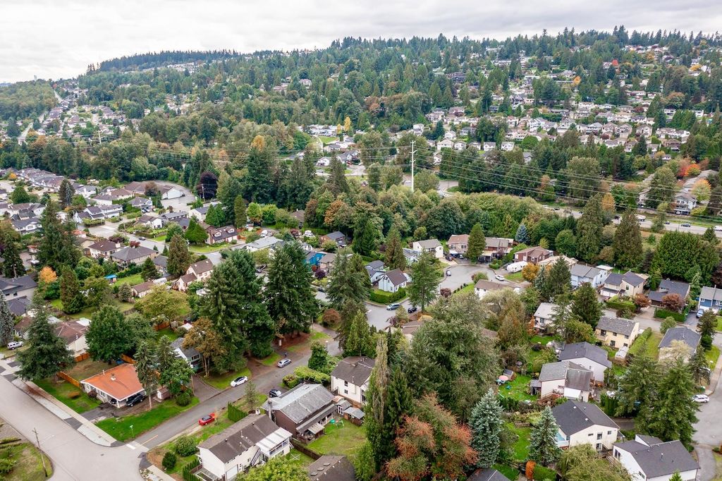 listing image 1105391093902858055