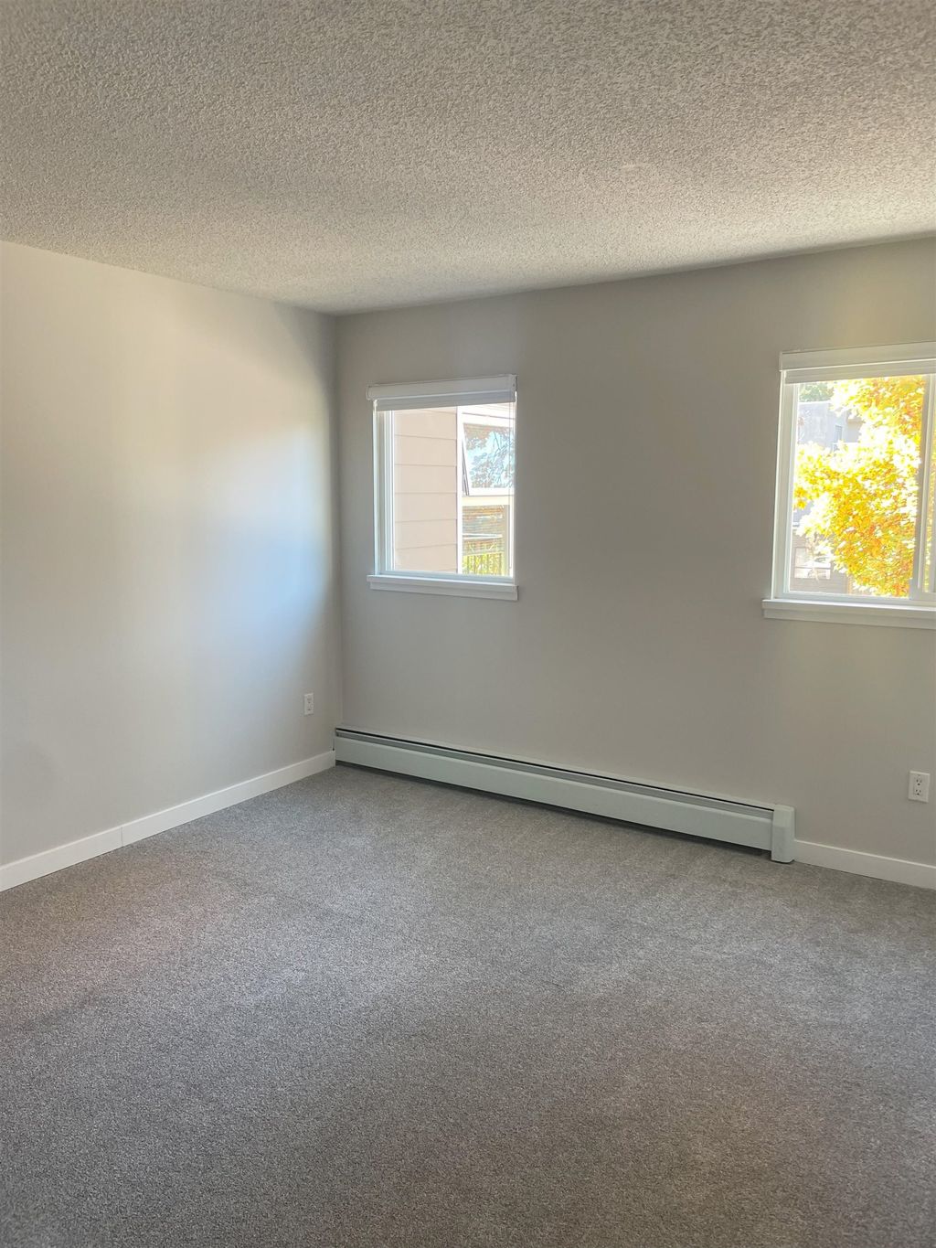 listing image 1101342119742046973