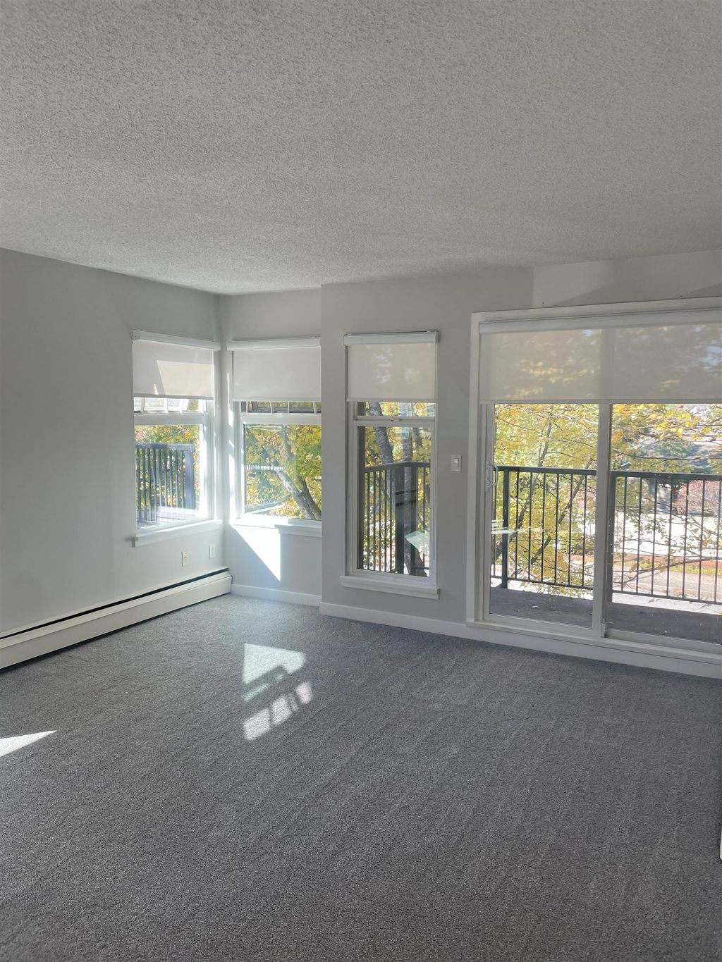 listing image 1102629776360456024